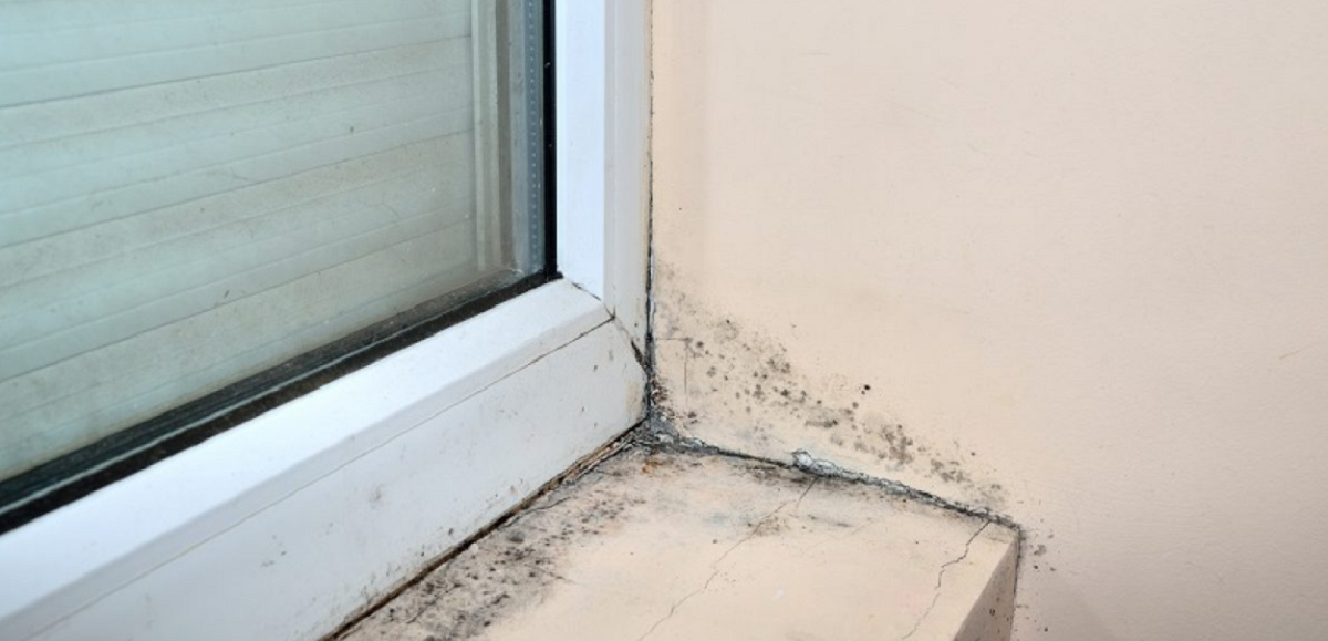 Trucul genial care te ajută să scapi de mucegaiul de la ferestre. Ce trebuie să faci