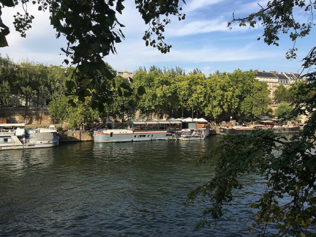 Descoperire macabră într-un parc din Paris. Capul decapitat al unei femei a fost descoperit chiar de Ziua Îndrăgostiților