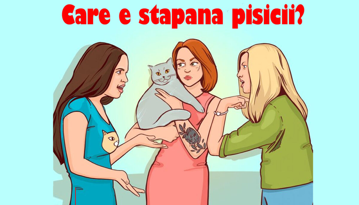Test de perspicacitate | Care dintre cele 3 femei e stăpâna pisicii din imagine?