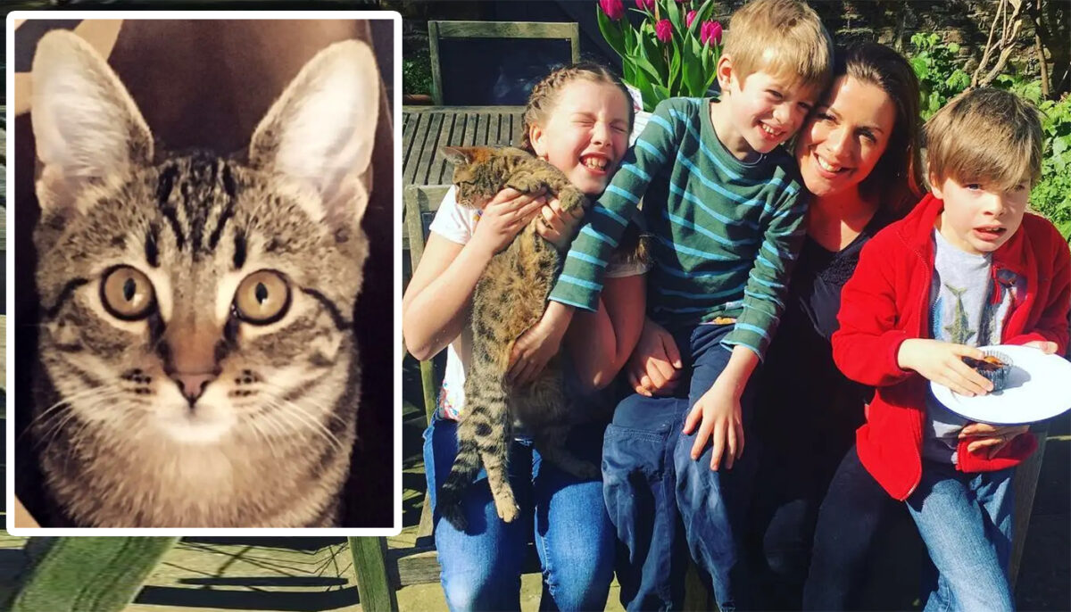 Familia din imagine și-a pierdut pisica în 2017. Ireal cum au găsit-o acum, după 6 ani, tocmai în Australia. Ce se întâmplase, de fapt