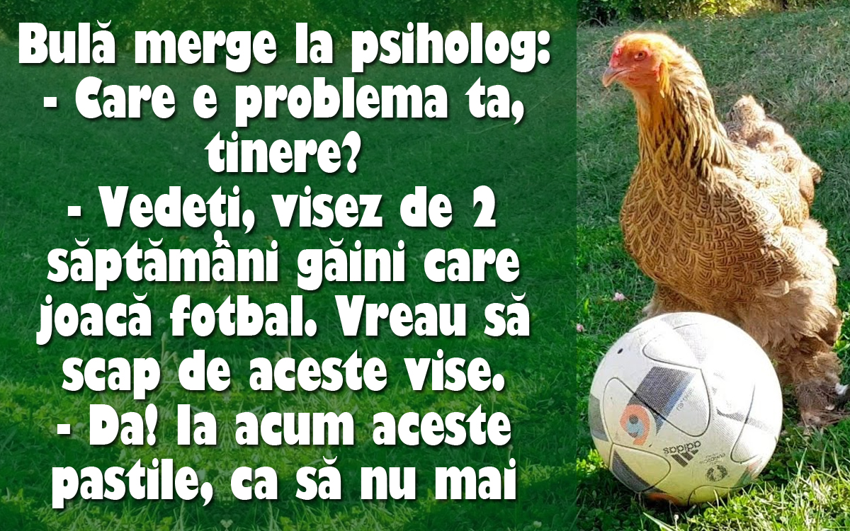 Imagine Stire BANC | Bulă visează găini care joacă fotbal | 2review.ro