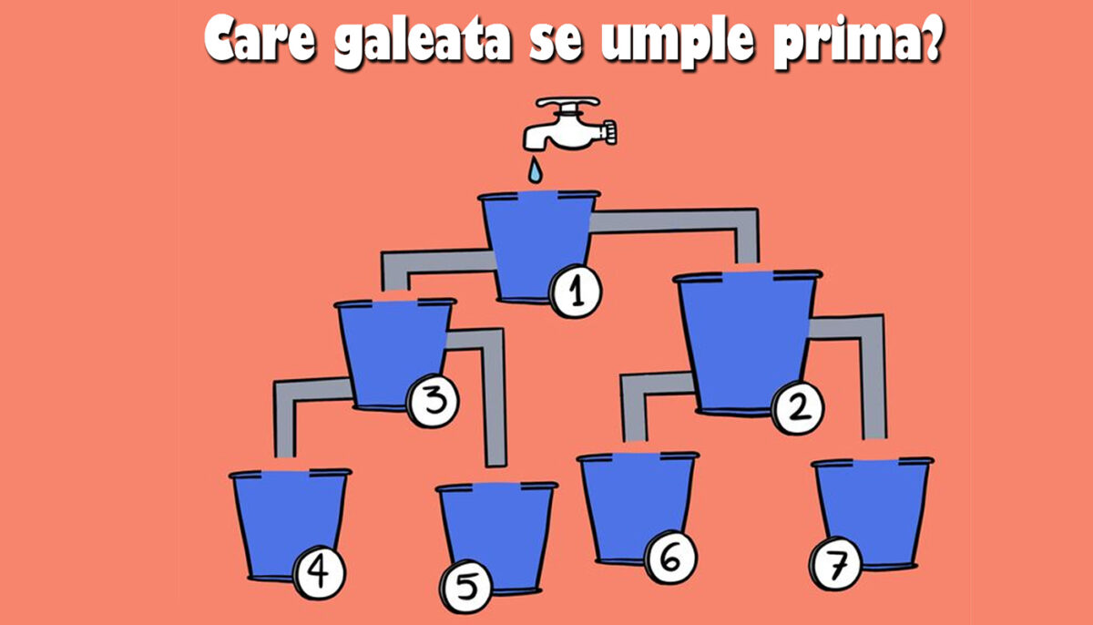 Imagine Stire Test de logică | Care dintre cele 7 găleți se va umple prima cu apă? | 2review.ro