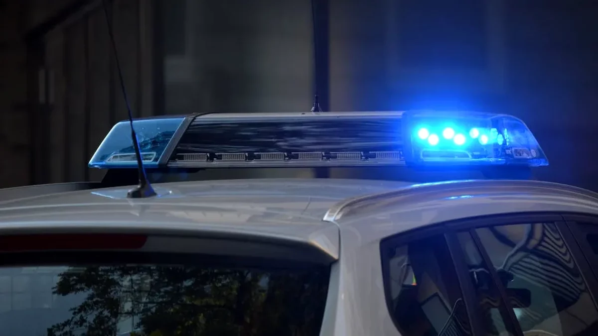 Liliana, o adolescentă de 15 ani din Bihor, a dispărut fără urmă. Cine o vede este rugat să sune la 112