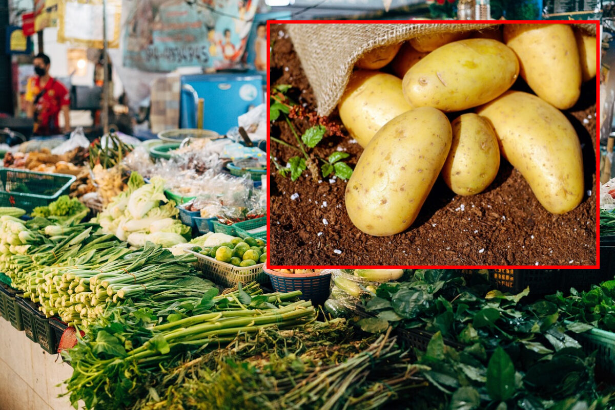 Prețuri supermarket VS piață. Cât a ajuns să coste un kilogram de cartofi la tarabă sau în magazin