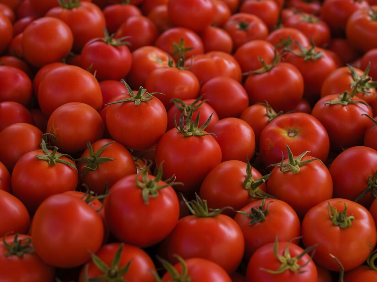 Anomalia întâlnită de cumpărători. Roșiile, mai scumpe decât carnea de miel