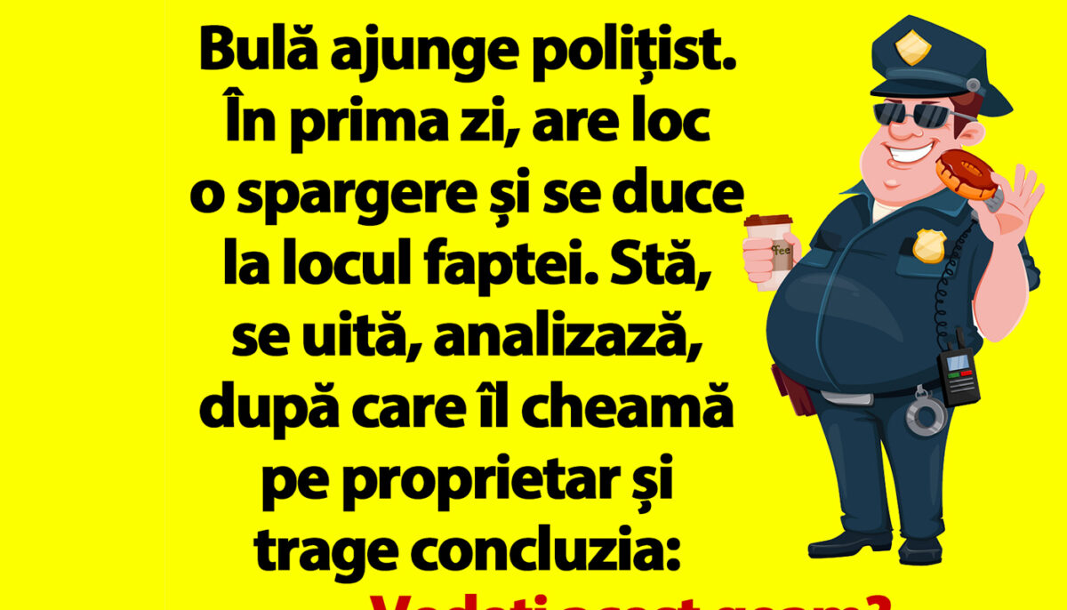 Imagine Stire BANC | Bulă ajunge polițist. În prima zi, are loc o spargere și se duce la locul faptei | 2review.ro