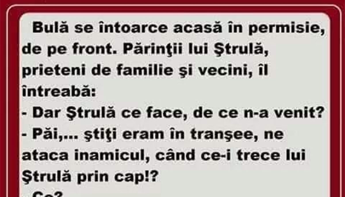 Imagine Stire BANC | Bulă se întoarce acasă în permisie, de pe front | 2review.ro