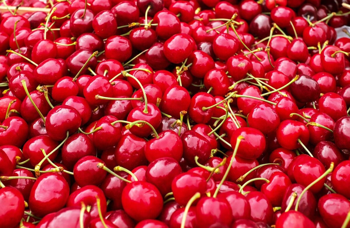 Va fi „fructul-vedetă” al sezonului! Cât va costa un kg de cireșe românești la tarabele din piață, în mai 2023