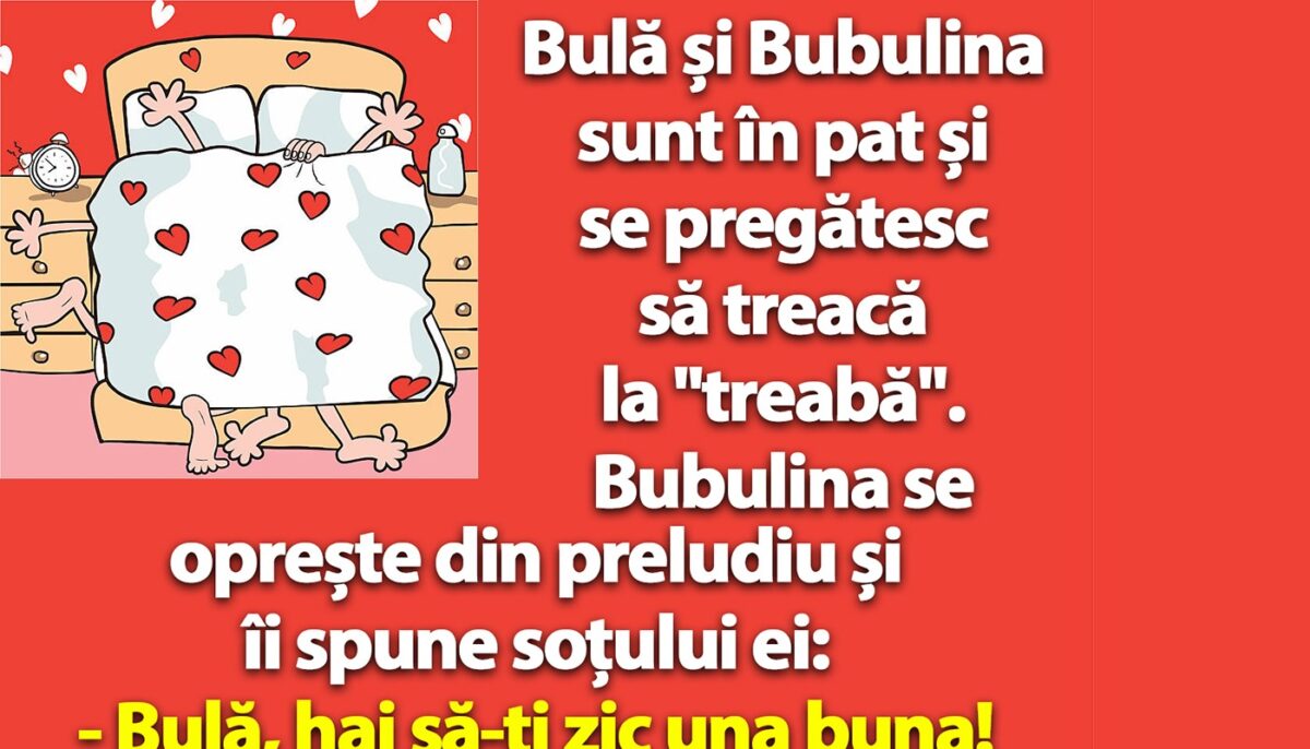 Imagine Stire BANC | Bulă și Bubulina sunt în pat și se pregătesc să treacă la „treabă” | 2review.ro