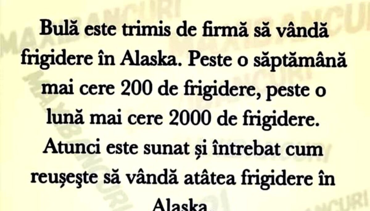 Imagine Stire BANC | Bulă este trimis de firmă să vândă frigidere în Alaska | 2review.ro