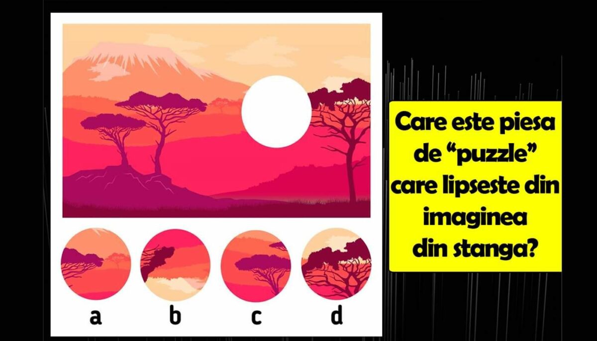 Imagine Stire Test de logică | Care este piesa de „puzzle” care lipsește din imaginea alăturată? | 2review.ro