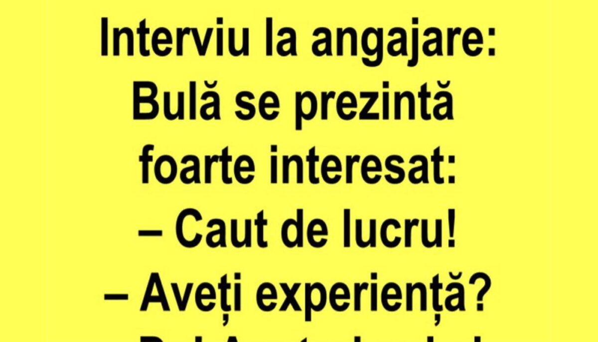 Imagine Stire BANC | Bulă se prezintă la un interviu de angajare | 2review.ro