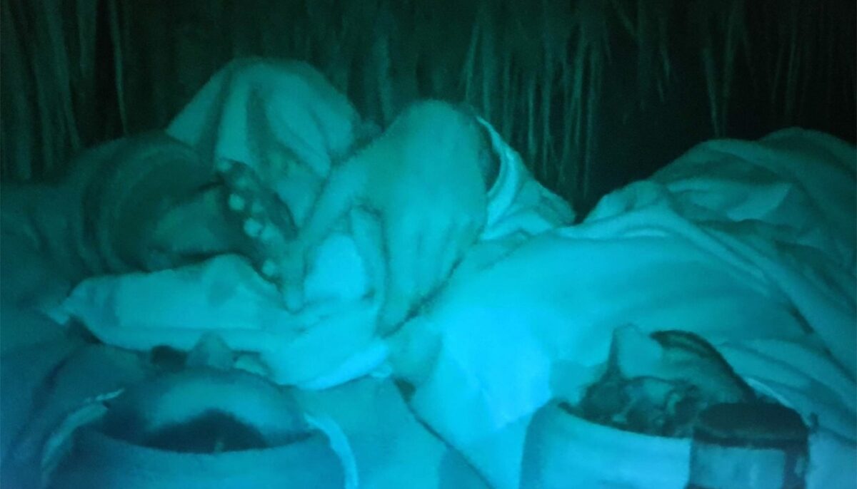 Imagine Stire Acuzații de infidelitate la Survivor: „Sărută bine!”. Cine e „războinicul” care ar fi călcat pe bec cu o „faimoasă” | 2review.ro
