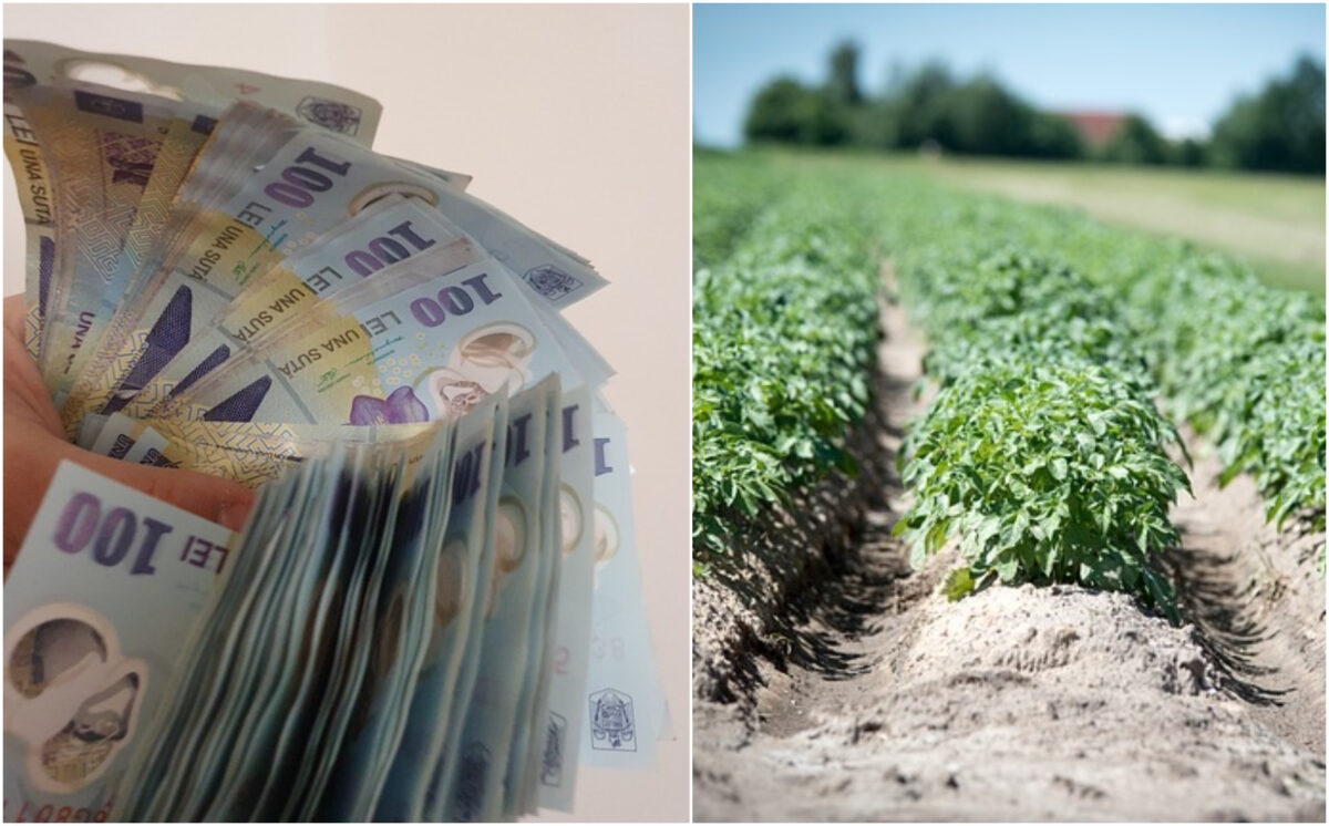 Vești importante pentru o categorie de români! Se oferă un ajutor de la stat de 1000 de lei. Care sunt condițiile
