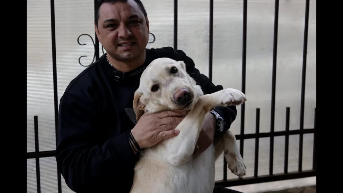 Cum s-au împăcat Ionel Ganea și Ladislau Boloni după ce au fost chiar la un pas de bătaie. Au dansat pe o melodie ungurească. „Vino-ncoace să te-nțep”