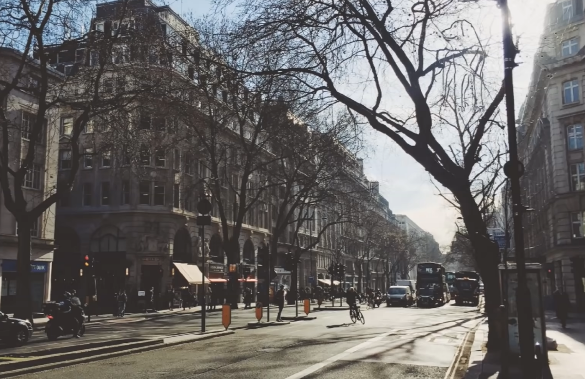 Iluzie optică virală | Tu vezi unde se ascunde câinele în această imagine? Găsește-l în 10 secunde