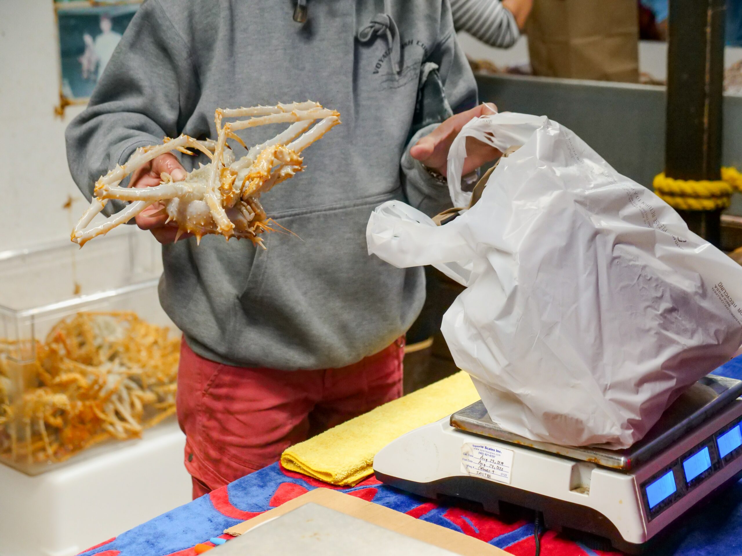 Fabrică de crabi din Norvegia/ Foto: Pexels