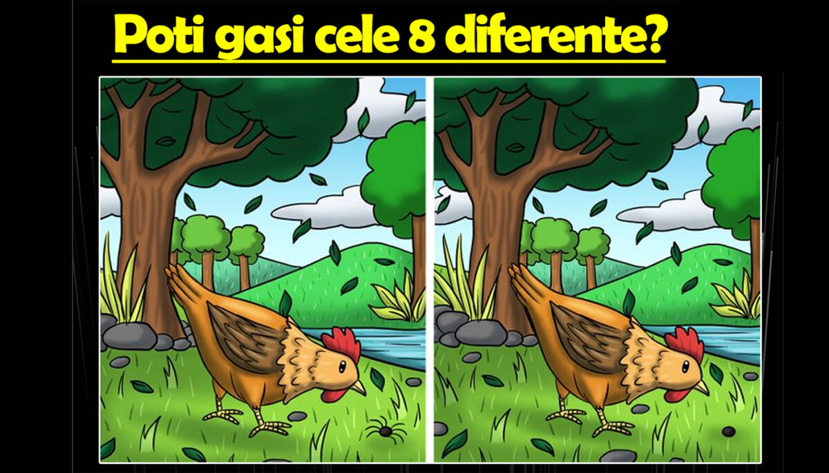 Imagine Stire Test de inteligență | Doar geniile pot găsi cele 8 diferențe dintre cele 2 imagini | 2review.ro