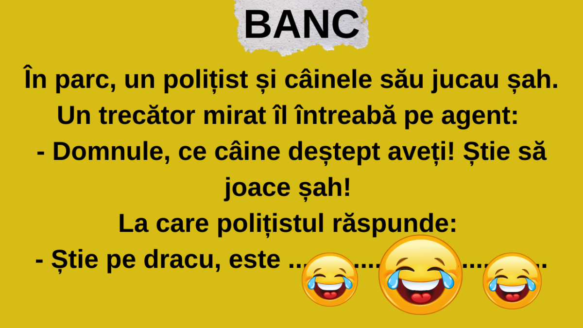 Imagine Stire BANCUL ZILEI | Polițistul și câinele șahist | 2review.ro
