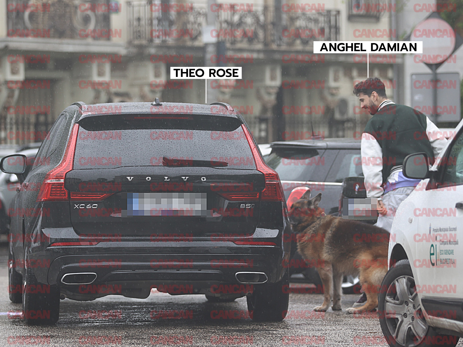 Anghel Damian a scos la plimbare câinele fostei iubite, iar Theo Rose a fost martoră