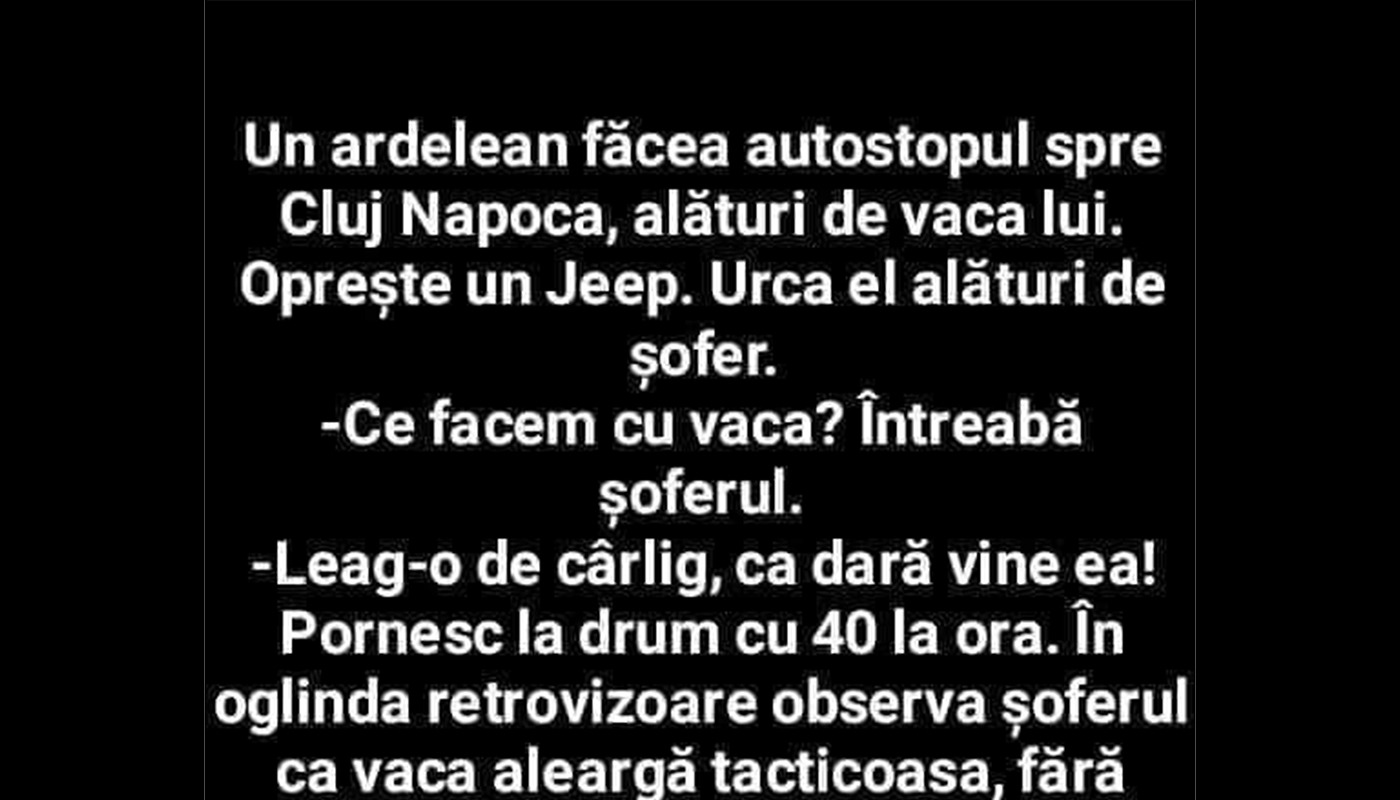 BANC Un ardelean făcea autostopul spre ClujNapoca, alături de vaca lui