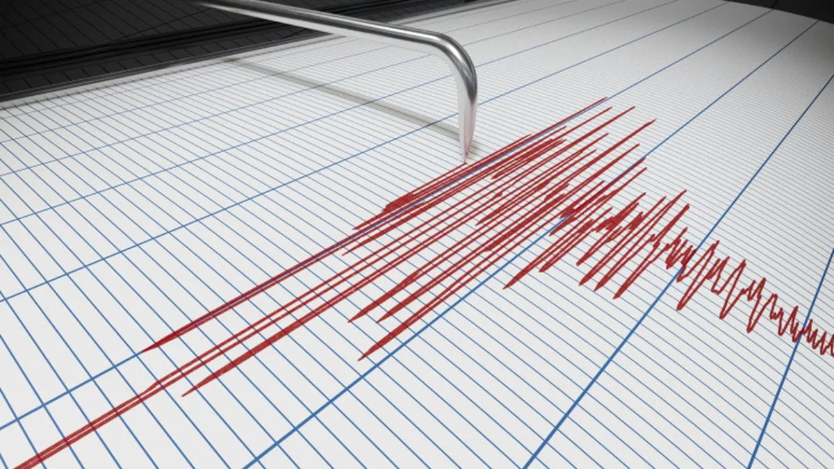 Ce susțin specialiștii despre cutremurele care au avut loc în Gorj: „Probabil că sunt în continuare…”