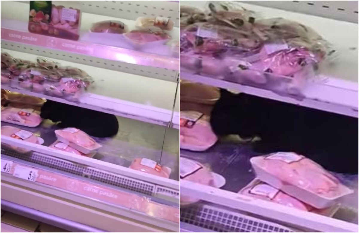 Ireal! Ce a putut să găsească un client într-un supermarket din Capitală: „Bagă, fata mea, bagă!”