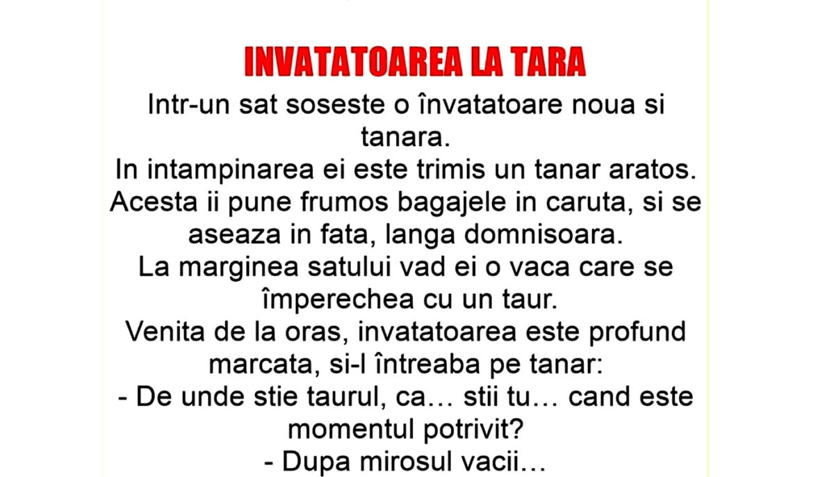 Imagine Stire BANC | Într-un sat sosește o învățătoare nouă și tânără | 2review.ro