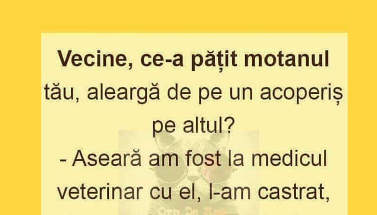 Imagine Stire BANC | „Vecine, ce-a pățit motanul tău de aleargă de pe un acoperiș pe altul? | 2review.ro