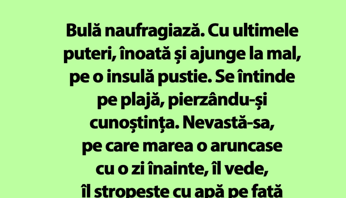 Imagine Stire BANC | Bulă naufragiază pe o insulă pustie | 2review.ro