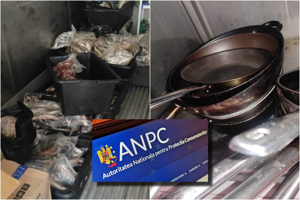 Cum erau ținuți peștii la cel mai căutat restaurant din Costinești. Directorul ANPC s-a minunat. „Se duc singuri în frigider”