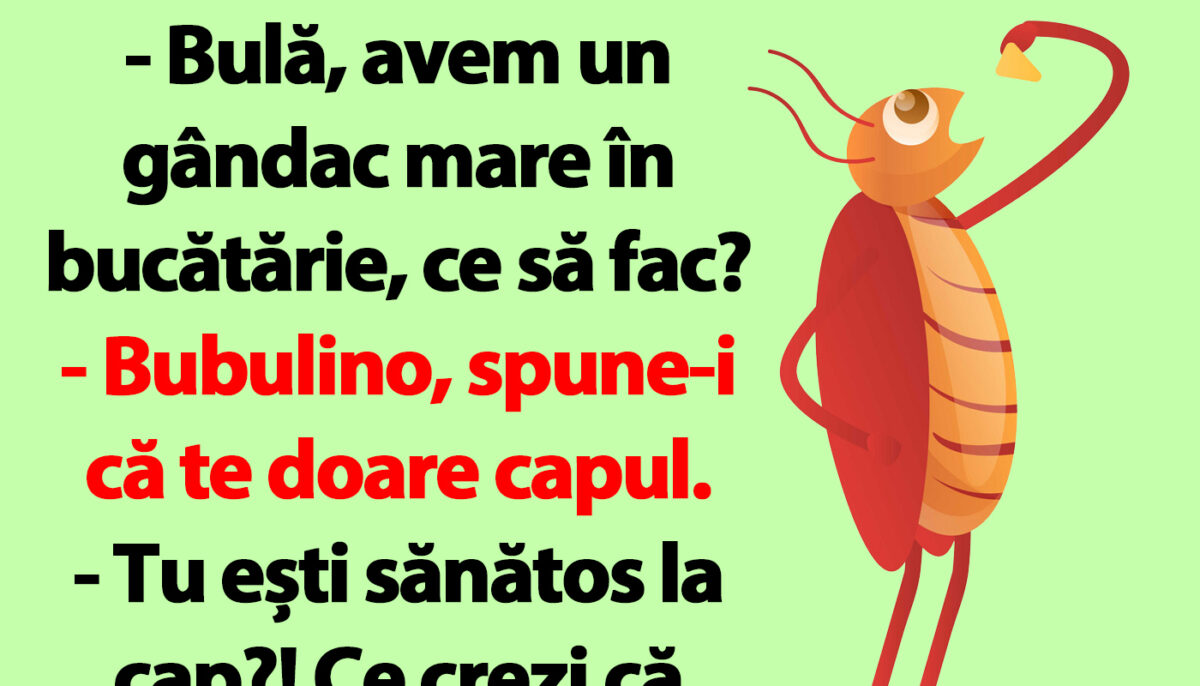 Imagine Stire Bancul dimineții | „Bulă, avem un gândac mare în bucătărie, ce să fac?” | 2review.ro