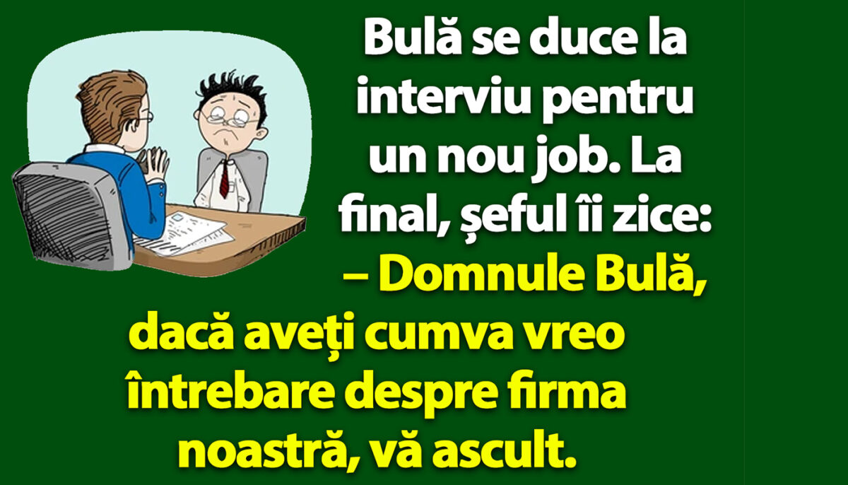 Imagine Stire BANC | Bulă se duce la interviu pentru un nou job | 2review.ro