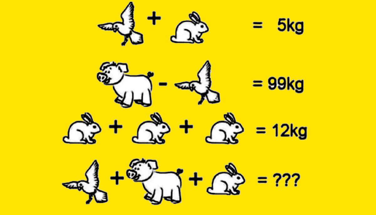 TEST IQ | Câte kilograme au vrabia, purcelul și iepurele, în total?