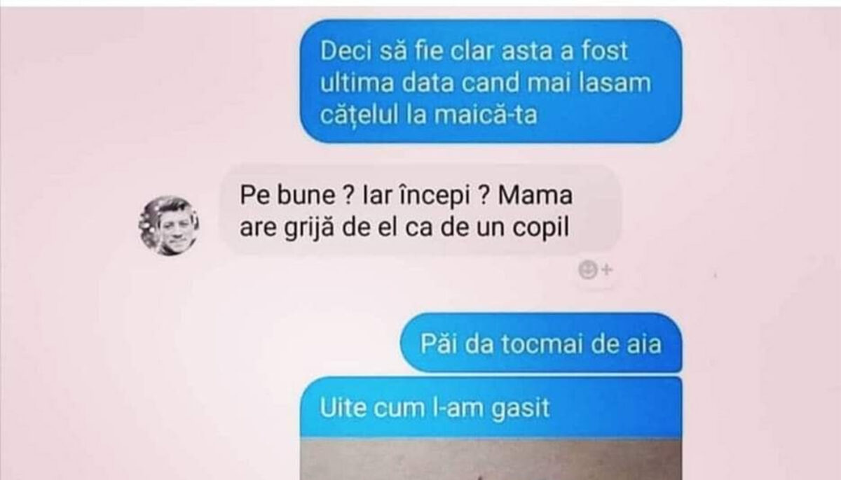 Imagine Stire Bancul sfârșitului de săptămână | „Asta a fost ultima dată când mai lăsăm cățelul la maică-ta” | 2review.ro