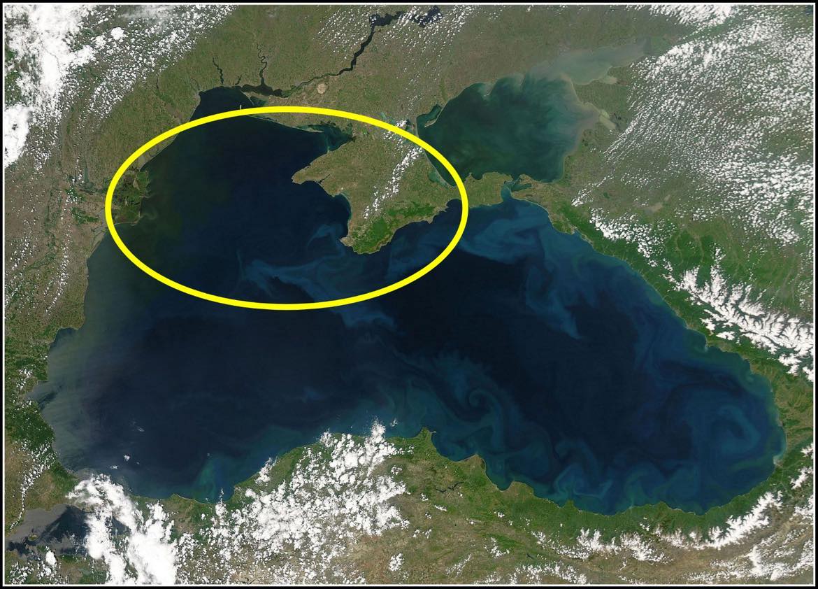 Ce s-a găsit în Marea Neagră nu s-a mai văzut până acum. Experții consideră că este cel mai mare din lume, iar la nivel mondial sunt destul de rare