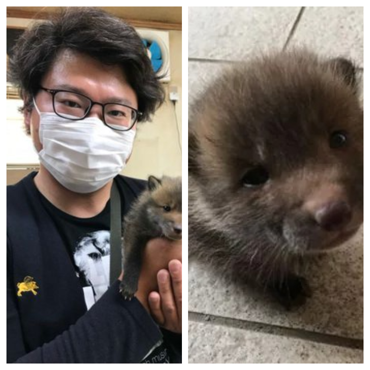 A găsit un cățeluș amărât pe șosea, dar după o lună a avut parte de șocul vieții. Ce animal adoptase tânărul