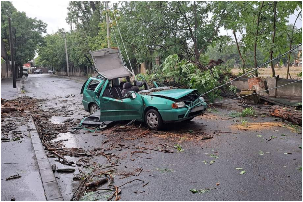 Furtuna a făcut ravagii în București. O persoană a ajuns la spital, după ce un copac a strivit un autoturism