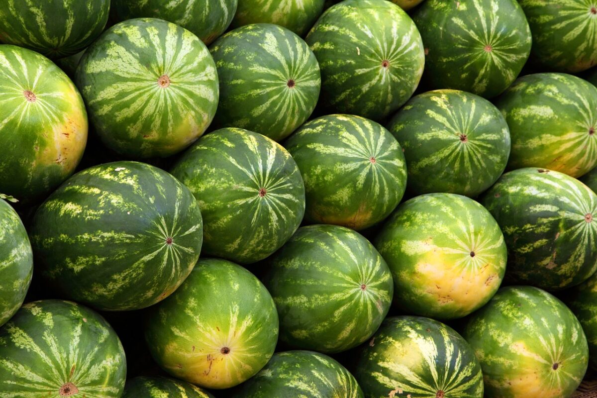 La ce preț se vinde un kilogram de pepene verde, în piețele românești. Cât scoți din buzunar pentru fructul-vedetă al verii