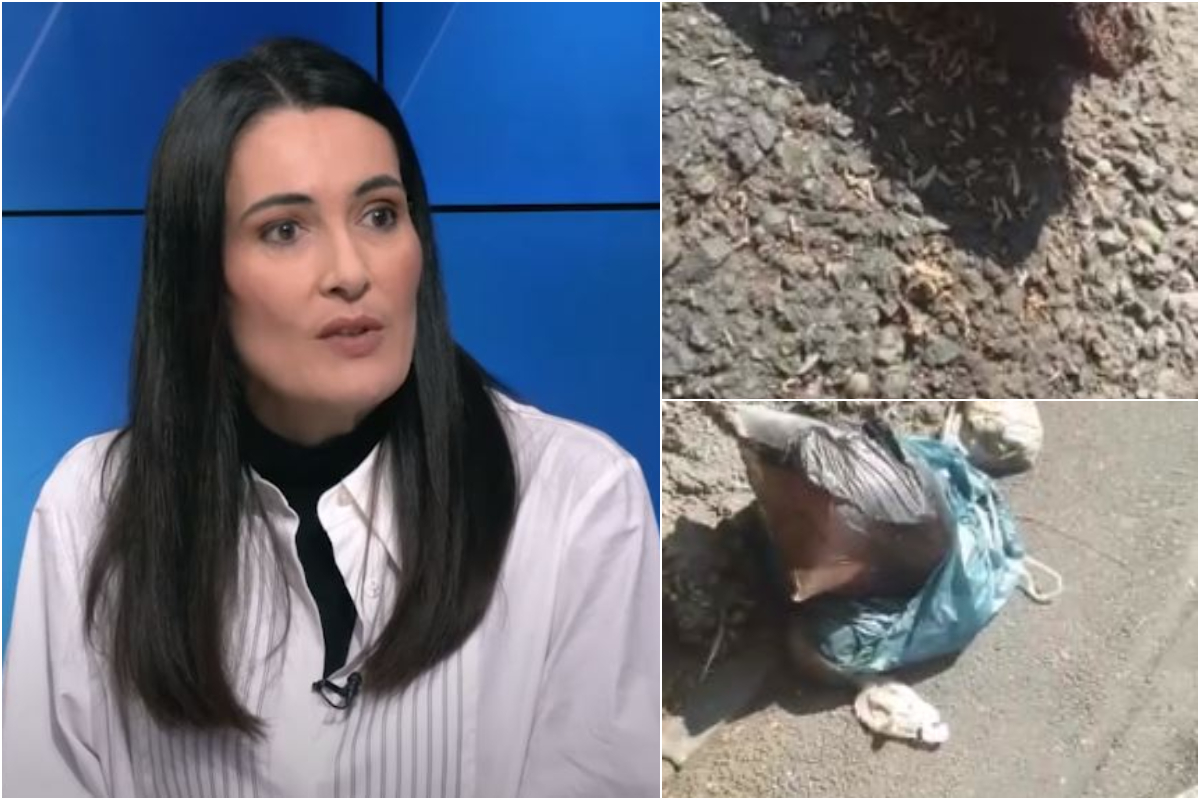 Imagine Stire O stradă din Sectorul 1, „invadată” de viermi. Primarul Clotilde Armand, desființată de Dana Budeanu | 2review.ro