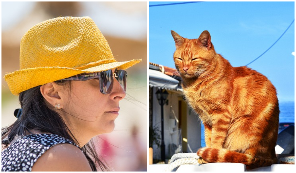 Ce a pățit o româncă în vacanța din Grecia, unde a mers cu motanul ei. Mulți au criticat-o pentru gestul necugetat: „Eu nu aș fi plecat”