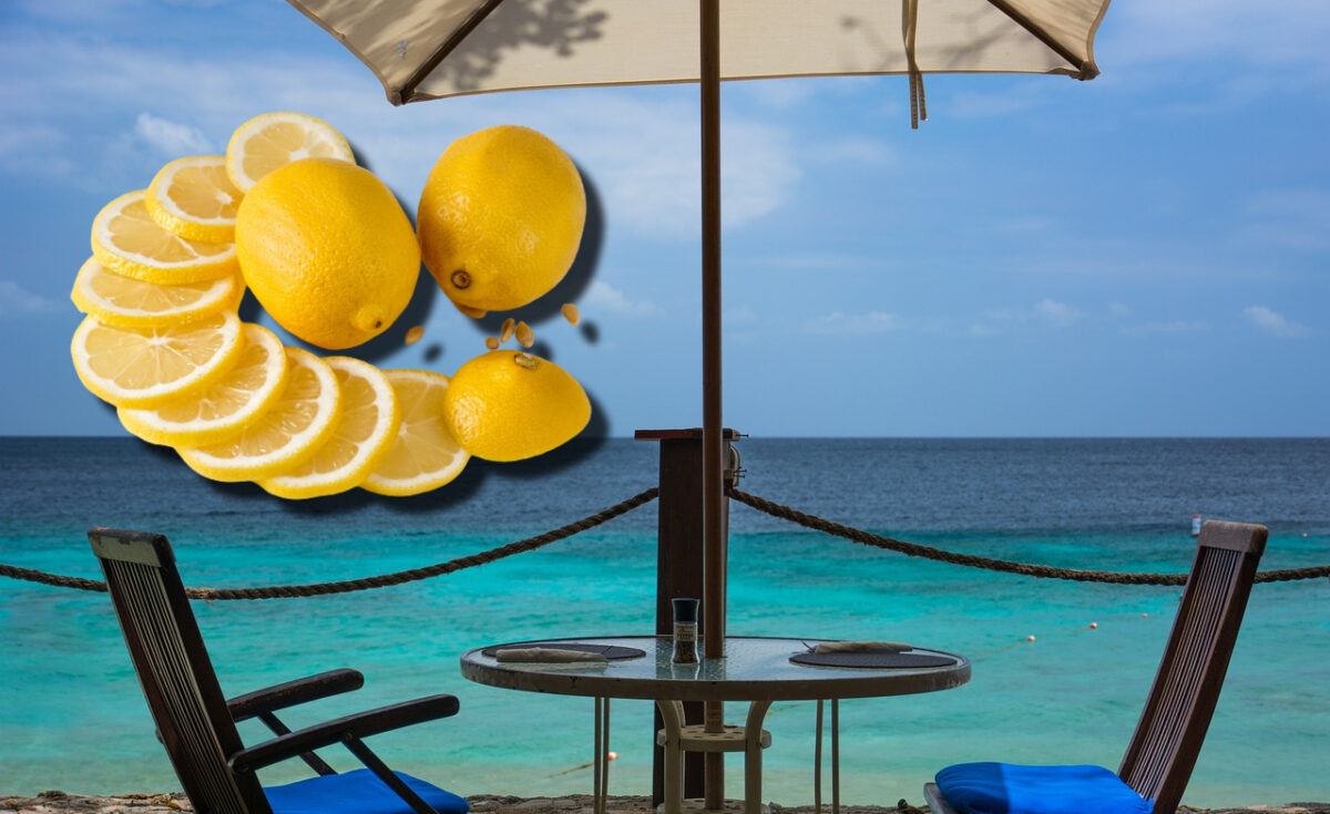 Suma ireală plătită de un turist pentru o felie de lămâie, într-un restaurant din Costinești: „Se întreabă lumea de ce pleacă în alte țări în sezonul estival”