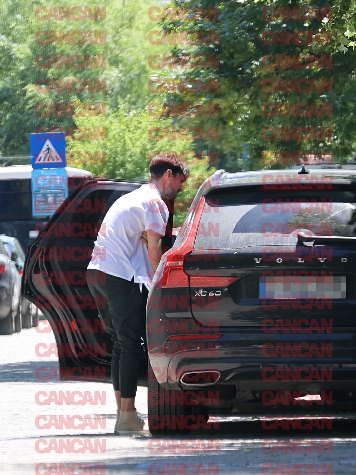 Anghel Damian discută cu Theo Rose