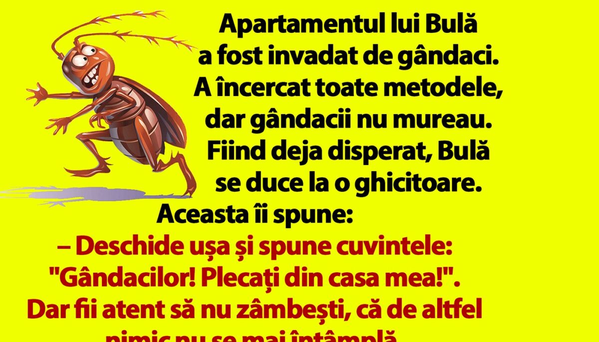 Imagine Stire Bancul dimineții | Apartamentul lui Bulă a fost invadat de gândaci | 2review.ro