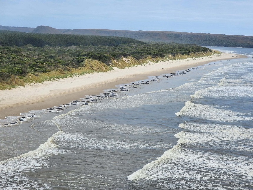 Sinucidere în masă pe o plajă din Scoția. Ce au descoperit anchetatorii după imaginile tulburătoare