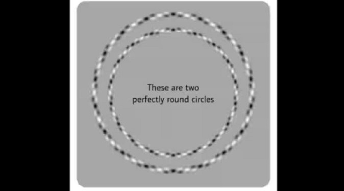 Iluzia optică ce îţi testează IQ-ul. Câte cercuri vezi în această imagine?