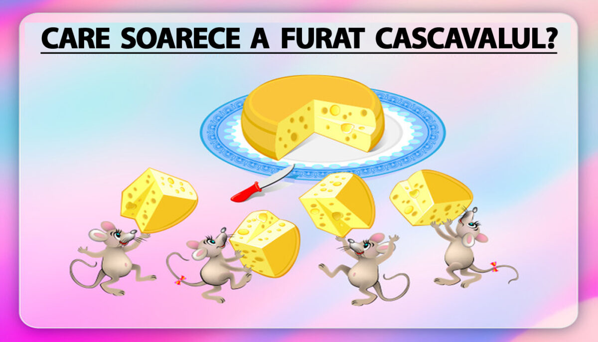 Imagine Stire TEST IQ | Care dintre cei 4 șoricei a furat bucata de cașcaval? | 2review.ro