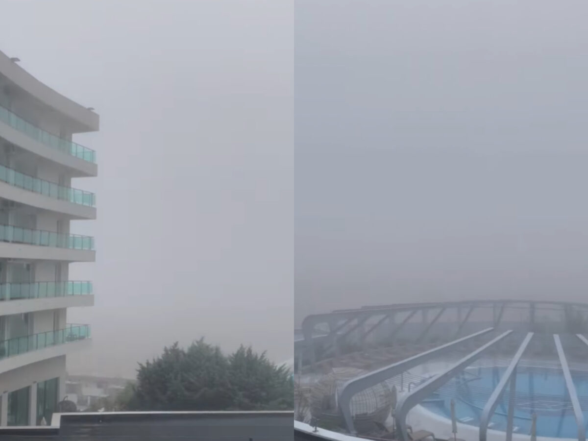 Imagine Stire Turiştii s-au speriat teribil în această dimineaţă! Ce au descoperit pe plajă, de la prima oră | 2review.ro