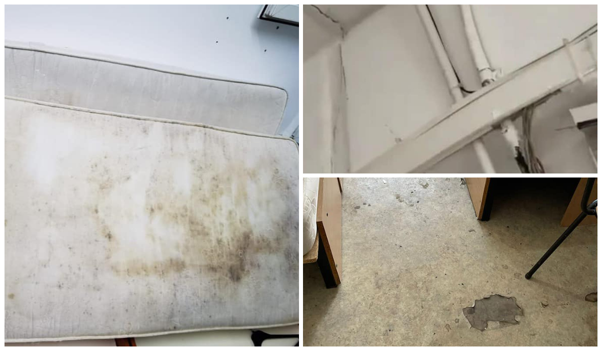 Imagini de coșmar surprinse în mai multe cămine studențești din București. Camere pline de gândaci și mizerie, cu pereți și saltele mucegăite