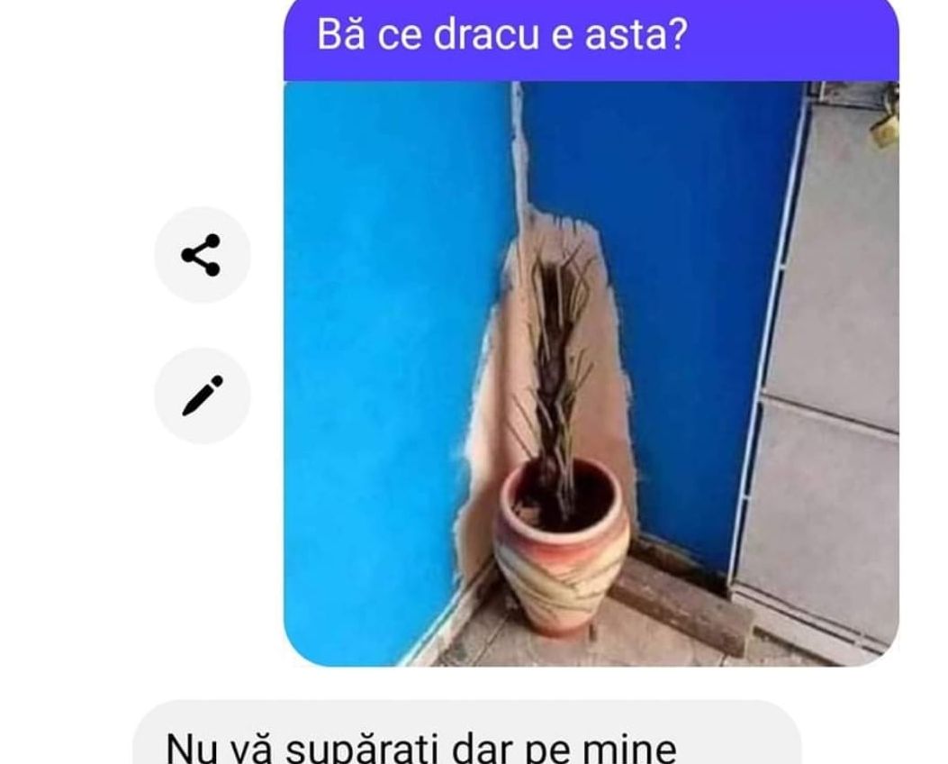 Imagine Stire BANC | „Nu vă supărați pe mine, dar m-ați plătit să zugrăvesc, nu să…” | 2review.ro